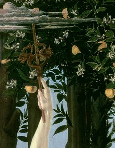 Primavera (detail)